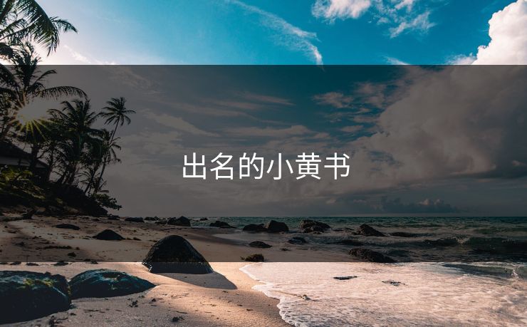 出名的小黄书