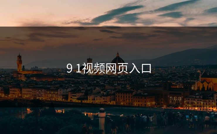 9 1视频网页入口