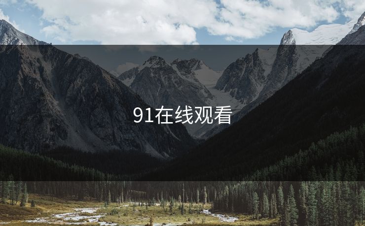91在线观看